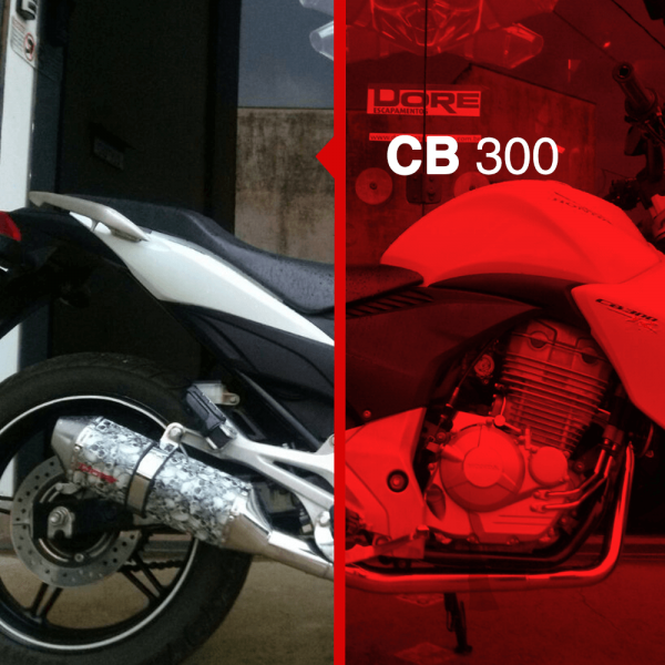 CB 300