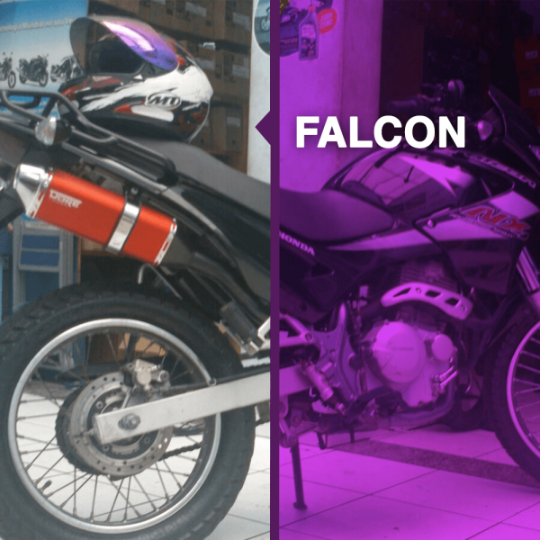 Falcon